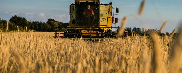 The drought in the American West is causing devastating consequences on US agriculture. - Sputnik International