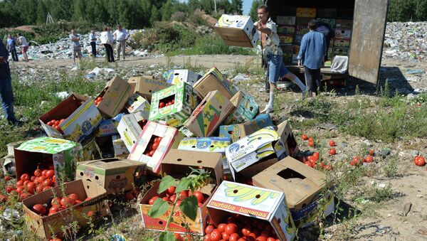 Sanctioned foods destroyed in Russia - Sputnik International