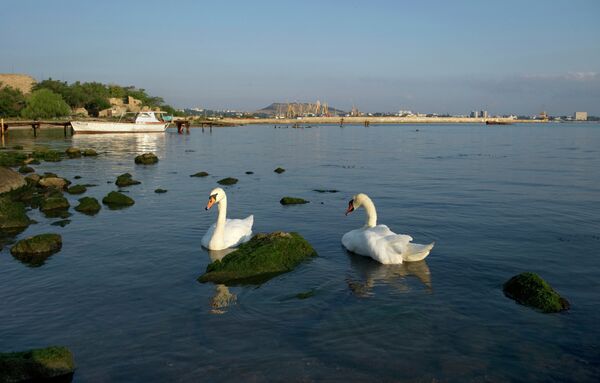 Cities of Russia. Feodosia - Sputnik International