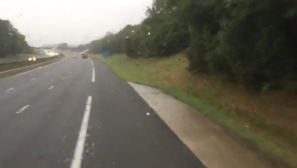 Dutch Bus Loses Control - Sputnik International