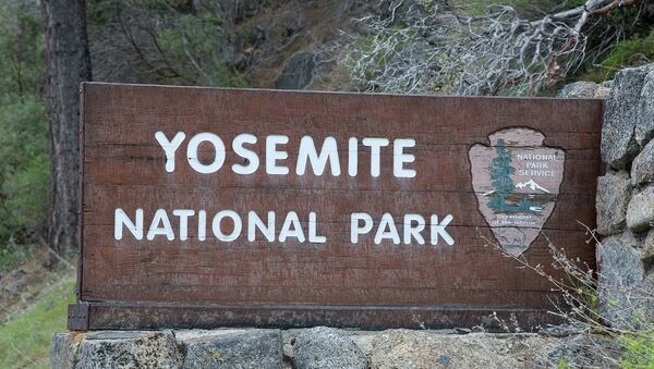 Yosemite National Park - Sputnik International