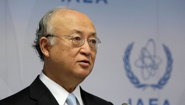 Director General of the International Atomic Energy Agency, IAEA, Yukiya Amano of Japan speaks during a news conference after a meeting of the IAEA board of governors at the International Center in Vienna, Austria - Sputnik International