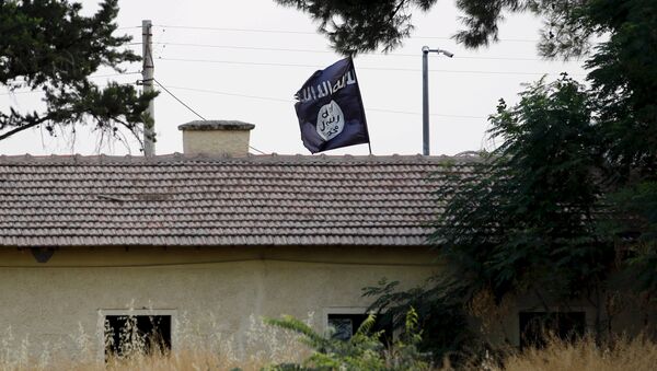 An Islamic State flag flies over the custom office of Syria's Jarablus border gate as it is pictured from the Turkish town of Karkamis, in Gaziantep province, Turkey August 1, 2015 - Sputnik International