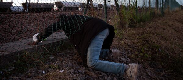 A migrant crawls under a fence as he attempts to access the Channel Tunnel in Calais, northern France, Saturday, Aug. 8, 2015 - Sputnik International