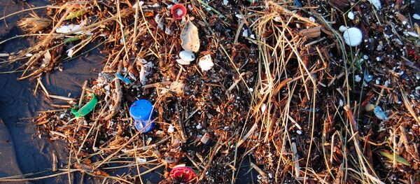 Plastic Ocean. - Sputnik International