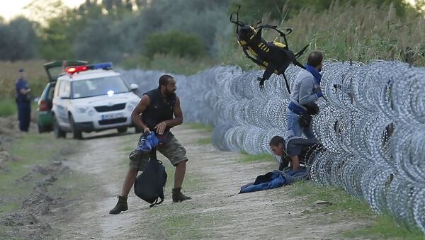 Hungarian police positioned nearby watch as Syrian migrants climb under a fence to enter Hungary at the Hungarian-Serbian border near Roszke, Hungary August 26, 2015 - Sputnik International