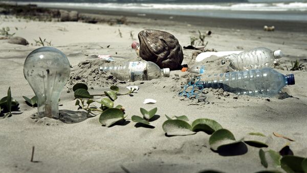 Water Pollution with Trash Disposal of Waste at the Garbage Beach - Sputnik International