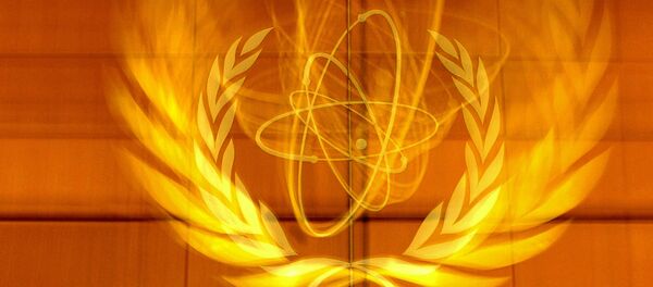 International Atomic Energy Agency's (IAEA) delegates speak in the board room prior to the IAEA meeting at the IAEA headquarters in Vienn International Atomic Energy Agency's (IAEA) delegates speak in the board room prior to the IAEA meeting at the IAEA headquarters in Vienn - Sputnik International