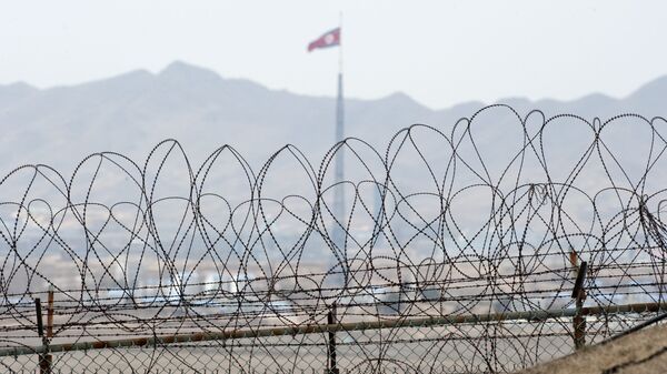 A North Korean flag behind the barbed wire of the Demilitarized Zone (DMZS) in the Joint Security Area near Panmunjom on the border between North and South Korea - Sputnik International