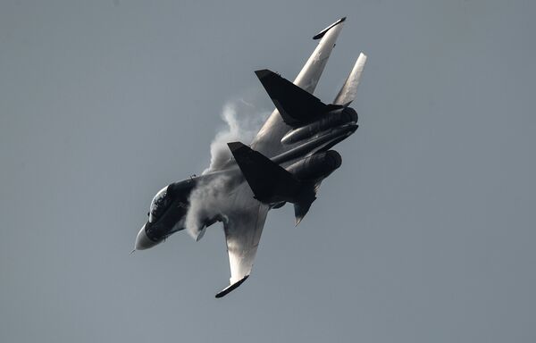 Su-30SM during MAKS-2015 Su-30SM during MAKS-2015 - Sputnik International