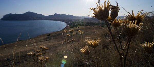 Поселок Коктебель в Крыму - Sputnik International
