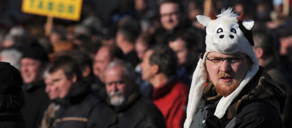 One of several thousand Czech farmers protests against planned budget cuts in front of Prague Castle on December 2, 2009 in the Czech capital - Sputnik International
