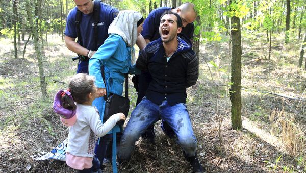 Hungarian policemen detain a Syrian migrant family after they entered Hungary at the border with Serbia, near Roszke, August 28, 2015. - Sputnik International