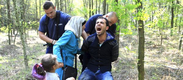 Hungarian policemen detain a Syrian migrant family after they entered Hungary at the border with Serbia, near Roszke, August 28, 2015. - Sputnik International