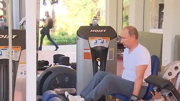 Russia: Putin and Medvedev pump iron in Sochi - Sputnik International