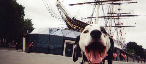 100 Homeless People Photographed Their London, and It's Beautiful 100 Homeless People Photographed Their London, and It's Beautiful - Sputnik International