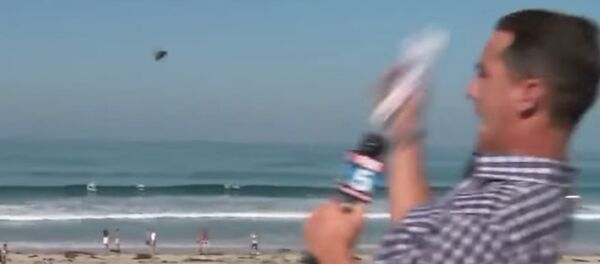 Reporter Freaks Out Over Bug Reporter Freaks Out Over Bug - Sputnik International