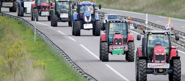 French farmers from Lorraine region drive their tractors on the A4 motorway in the Champagne-Ardenne region, eastern France, September 2, 2015 French farmers from Lorraine region drive their tractors on the A4 motorway in the Champagne-Ardenne region, eastern France, September 2, 2015 - Sputnik International