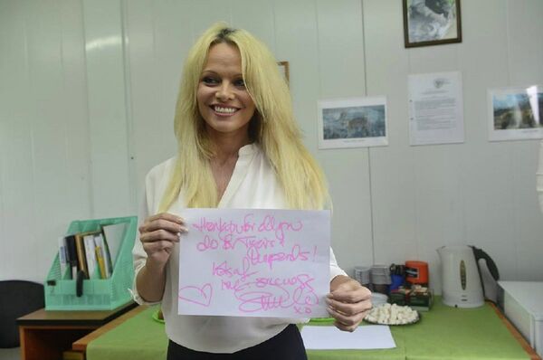 Pamela Anderson Pleads With US President Trump to Pardon Julian Assange  - Sputnik International