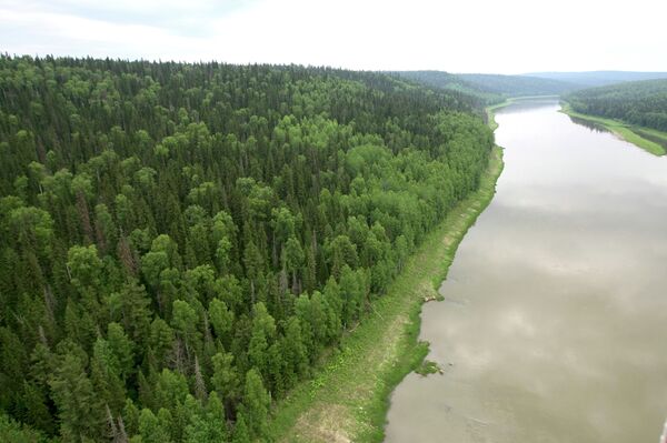 Professor Says Climate Change May Lead to ‘Extreme Natural Events’ in Siberia Professor Says Climate Change May Lead to ‘Extreme Natural Events’ in Siberia - Sputnik International