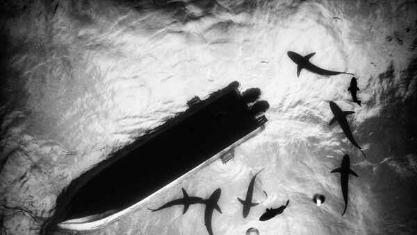 We are brutally overfishing in our oceans, and our attention should be concentrated on the way we fish as well as what we eat from the ocean. - Sputnik International