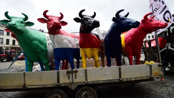 Fake cows brought by dairy farmers staging a demonstration stand in front of the European Parliament during a protest against the end of European milk quotas, in Brussels, March 31, 2015 - Sputnik International