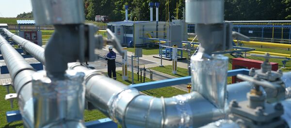 An automatic gas-distribution station of the first stage of an investment project to build a gas pipeline offshoot from the Kazan-Gorky gas pipeline toward the village of Yelizavetino. It will heat up the Innopolis IT town - Sputnik International