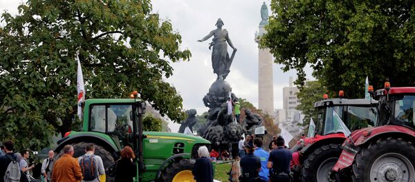 Farmers park their tractors during a protest at Nation Square in Paris, Thursday, Sept. 3, 2015 Farmers park their tractors during a protest at Nation Square in Paris, Thursday, Sept. 3, 2015 - Sputnik International