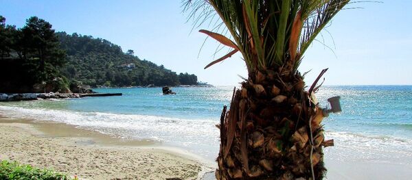 An island shore An island shore - Sputnik International