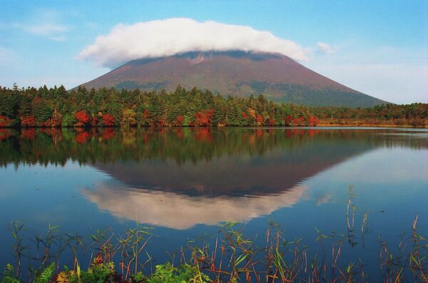 The nature of the Kuril islands The nature of the Kuril islands - Sputnik International