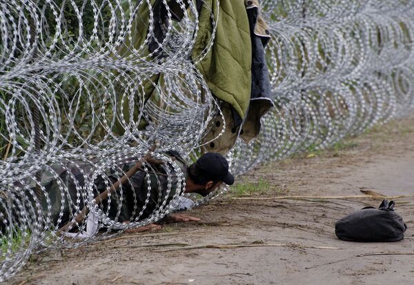 A migrant man creeps under the metal fence near the village of Roszke, at the Hungarian-Serbian border on August 26, 2015 - Sputnik International