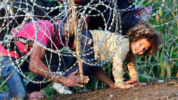 Migrants crawl under a barbed fence at the Hungarian-Serbian border near Roszke, on August 27, 2015 - Sputnik International