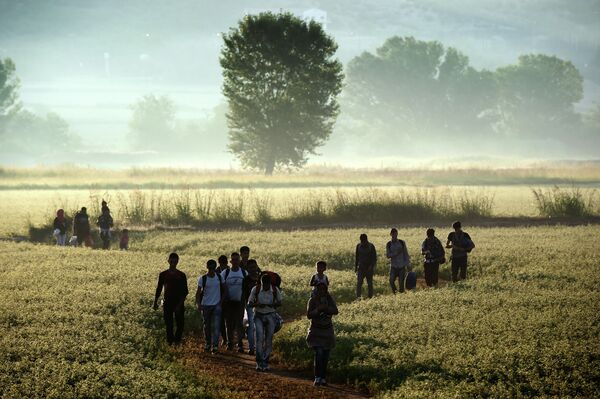 Migrants walk through a field to cross the border from Greece to Macedonia near the Greek village of Idomeni on August 29, 2015 Migrants walk through a field to cross the border from Greece to Macedonia near the Greek village of Idomeni on August 29, 2015 - Sputnik International