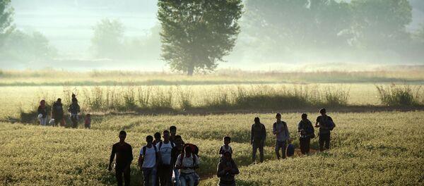 Migrants walk through a field to cross the border from Greece to Macedonia near the Greek village of Idomeni on August 29, 2015 Migrants walk through a field to cross the border from Greece to Macedonia near the Greek village of Idomeni on August 29, 2015 - Sputnik International