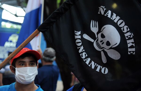 People demonstrate against the US biotechnology giant Monsanto and its genetically modified crops and pesticides, in Asuncion, on May 25, 2015 two days after thousands of people hit the streets in cities across the world to protest against the company. - Sputnik International