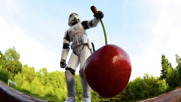 Is this cherry a (GMO) Genetically modified organism? - Sputnik International