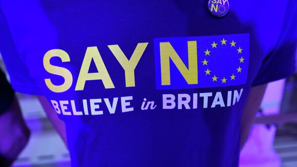 A supporter wears a tee-shirt as he waits for Nigel Farage, the leader of Britain's anti-EU UK Independence Party (UKIP) to speak at the launch of the party's EU referendum campaign, in London, Britain September 4, 2015 - Sputnik International