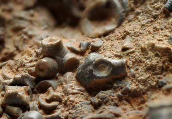 Killer Asteroid That Spun Earth Back Into Ice Age Was Witnessed by Ancient Humans, Study Claims - Sputnik International