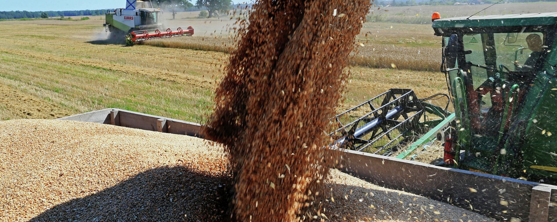 Wheat harvest in Russia's Kaliningrad Region - Sputnik International, 1920, 11.01.2023