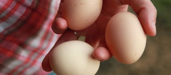 Eggs Eggs - Sputnik International