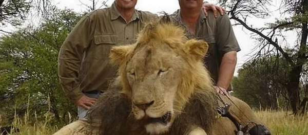 Walter Palmer (left) - Sputnik International
