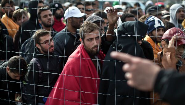 Migrants waiting in line to board buses in Hungary - Sputnik International