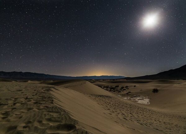 Desert Nights - Sputnik International