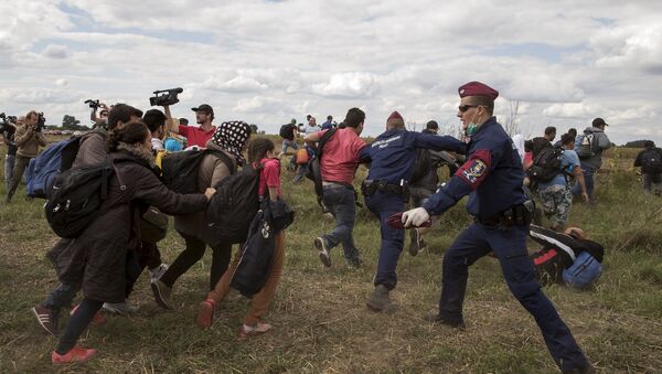 Hungarian police officers stop migrants as they try to escape on a field nearby a collection point in the village of Roszke, Hungary, September 8, 2015. - Sputnik International