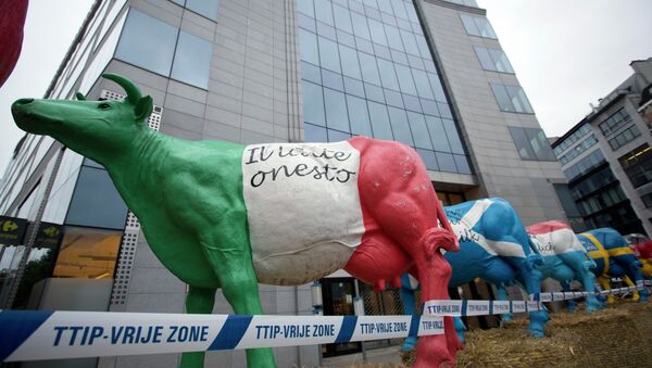 Plastic cows are lined up on hay bales in front of EU headquarters during a farmers demonstration in Brussels on Monday, Sept. 7, 2015. - Sputnik International