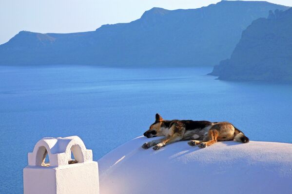 Siesta in Santorini, Greece - Sputnik International