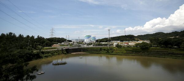No.1 (L) and No.2 reactor buildings are pictured at Kyushu Electric Power's Sendai nuclear power station in Satsumasendai, Kagoshima prefecture, Japan, July 8, 2015. No.1 (L) and No.2 reactor buildings are pictured at Kyushu Electric Power's Sendai nuclear power station in Satsumasendai, Kagoshima prefecture, Japan, July 8, 2015. - Sputnik International