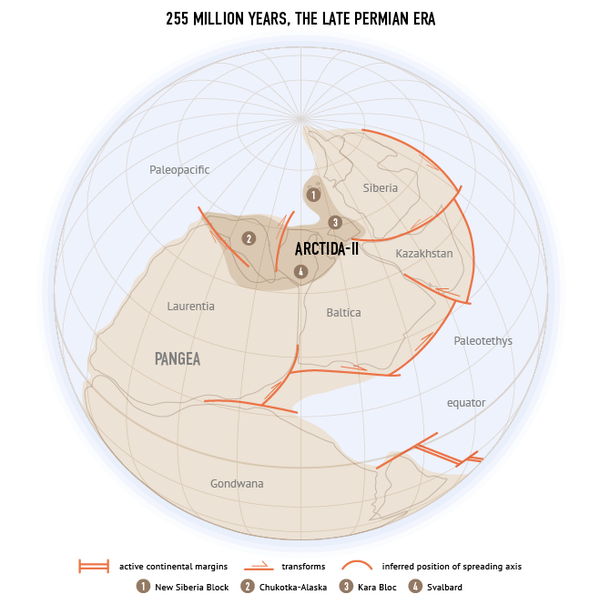 Arctida Arctida - Sputnik International