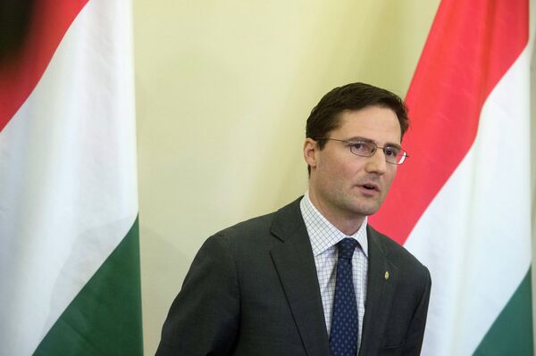 Marton Gyongyosi, member of the Jobbik party and Deputy Chairman of Parliament's Foreign Affairs committee Marton Gyongyosi, member of the Jobbik party and Deputy Chairman of Parliament's Foreign Affairs committee - Sputnik International