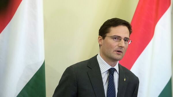 Marton Gyongyosi, member of the Jobbik party and Deputy Chairman of Parliament's Foreign Affairs committee - Sputnik International